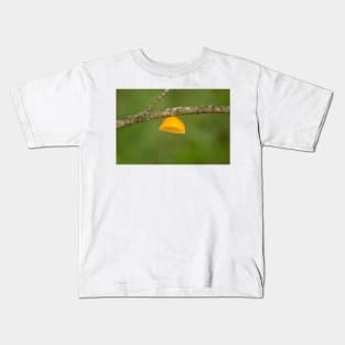 hlb lampshade Kids T-Shirt